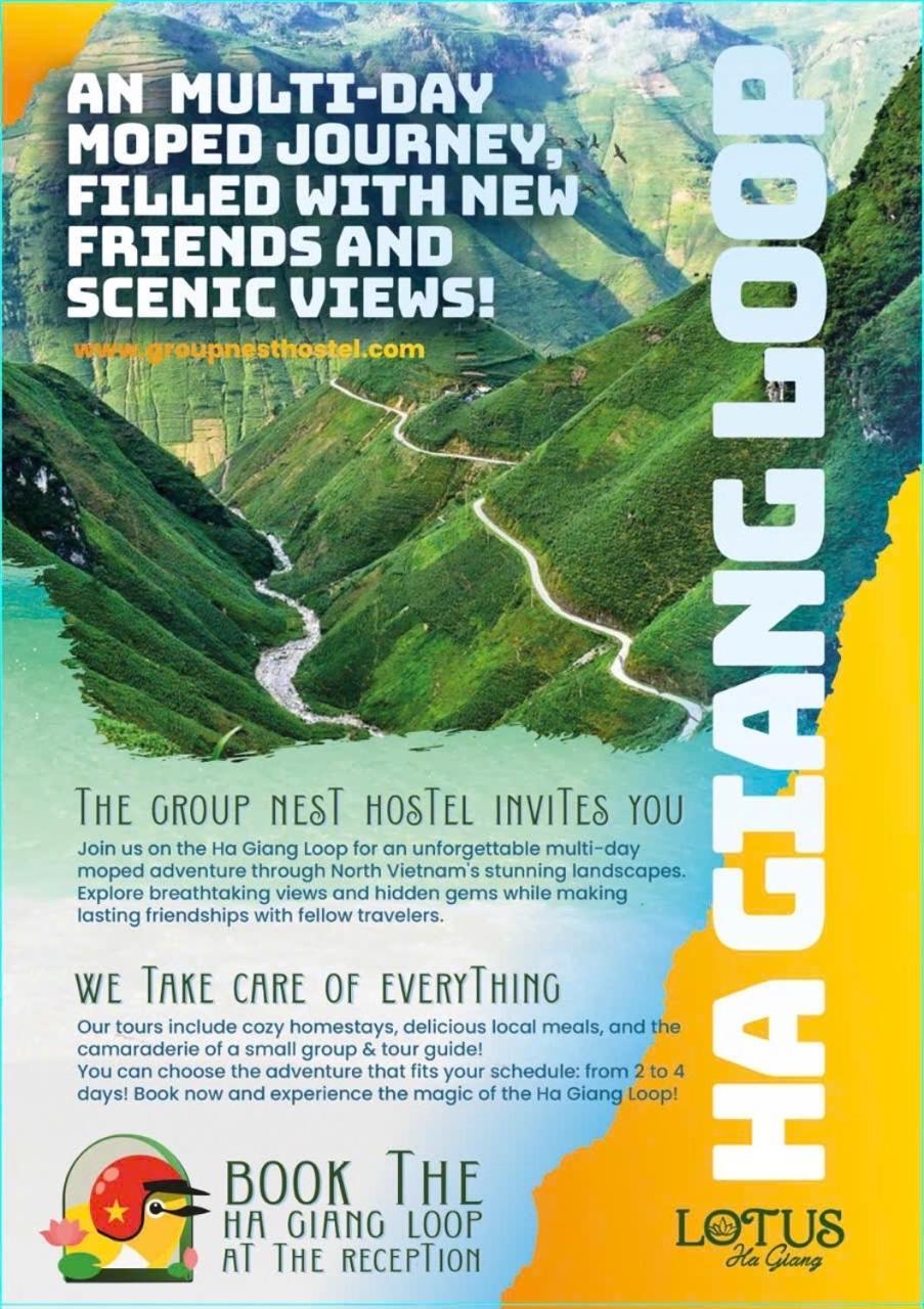 Group Nest Auberge de jeunesse